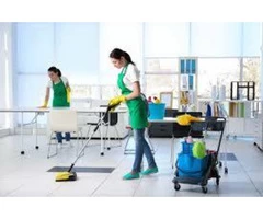 Bond Cleaning Springfield