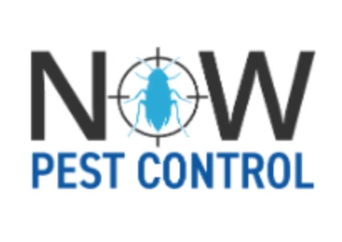 Getting Rid Of Pests Was Never This Easy!