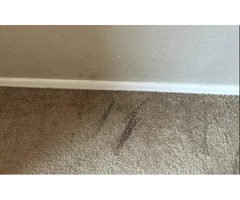 Affordable Carpet Water Damage Repairs Goldcoast - Metro Carpet Repair Goldcoast