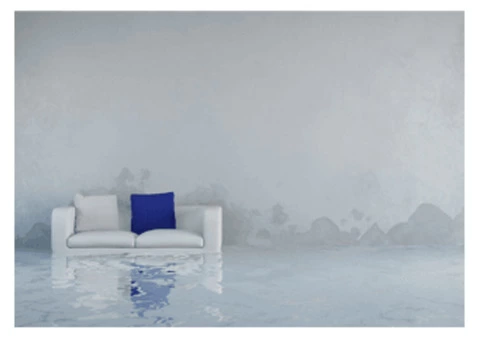 Carpet Cleaners South Brisbane