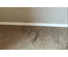 Carpet Hole Repair Melbourne - Master Carpet Repair Melbourne