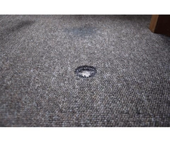 Professional Carpet Torn Repair Melbourne - Master Carpet Repair Melbourne