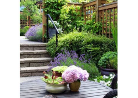Professional Landscaping Contractors in Sydney Ready to Give Shape to Your Dreams