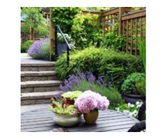 Professional Landscaping Contractors in Sydney Ready to Give Shape to Your Dreams