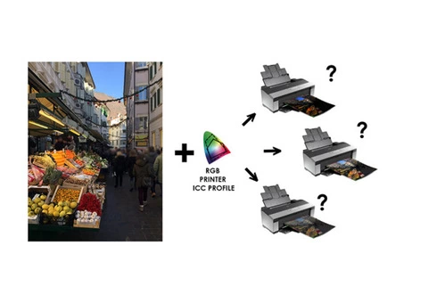 Efficient Printer Colour Profile Solutions at Best Price