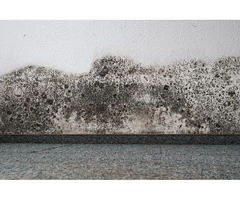 Services offered by carpet Repair by Goldcoast  - Metro Carpet Repair Goldcoast