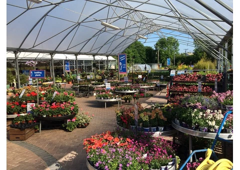 Purchase indoor/outdoor plants from the best garden supply centre in Brisbane.