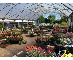 Purchase indoor/outdoor plants from the best garden supply centre in Brisbane.