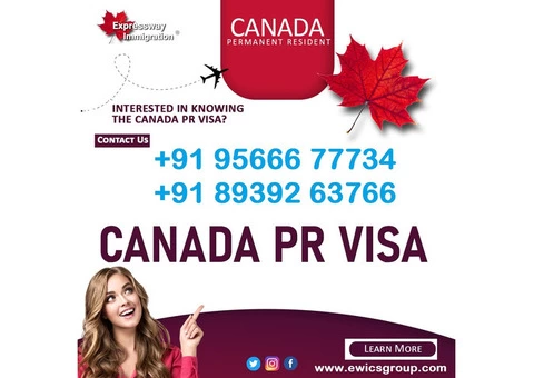 Expressway Immigration Consultancy Service