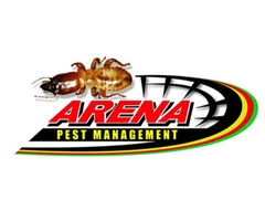 Affordable Gold Coast termite treatment