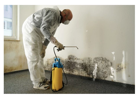 Services offered by carpet Repair by Perth  - Metro Carpet Repair Perth - 2/3