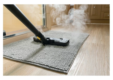 Most Reliable Carpet Mould Removal Hobart