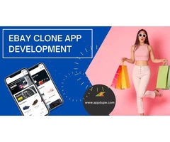 Master The E-commerce Business With A Well-designed App Like Ebay
