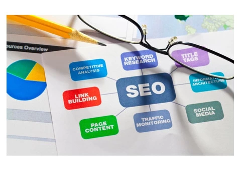 Expert SEO Services in Adelaide- Frank Digital Agency