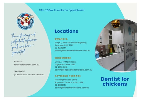 Cosmetic Dental Treatment