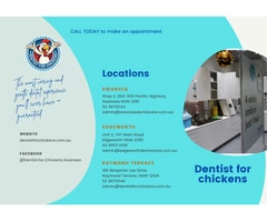 Cosmetic Dental Treatment
