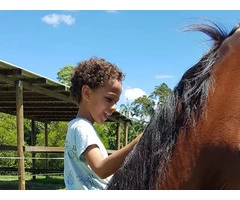 Get Equine Therapies Near Me