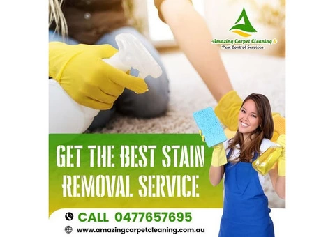 Professional Carpet Cleaning Service in Brisbane - 5/5