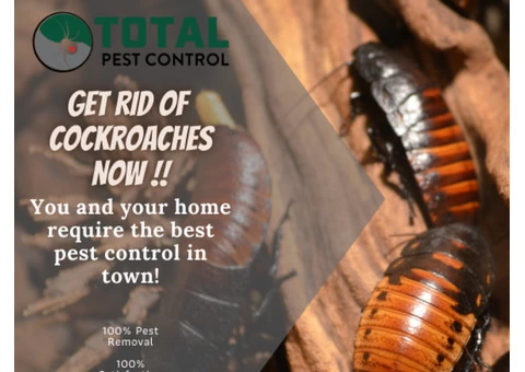 Rodents Never Make For Pleasant Guests. Are You Taking Appropriate Measures To Drive Them Out? - 2/5