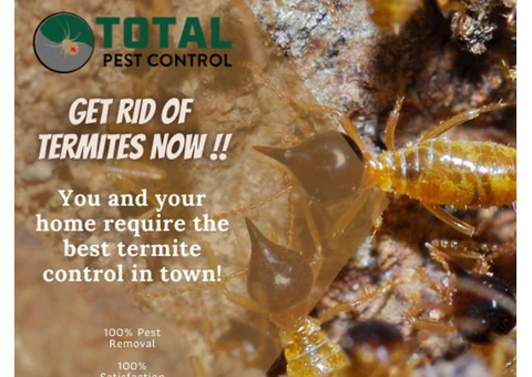 Rodents Never Make For Pleasant Guests. Are You Taking Appropriate Measures To Drive Them Out? - 3/5