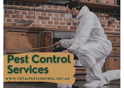 Rodents Never Make For Pleasant Guests. Are You Taking Appropriate Measures To Drive Them Out? - 4/5