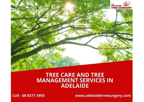 Tree Care and Tree Management Services in Adelaide