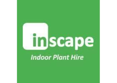 Indoor Plant Hire - Office Plant Hire Melbourne