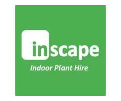 Indoor Plant Hire - Office Plant Hire Melbourne
