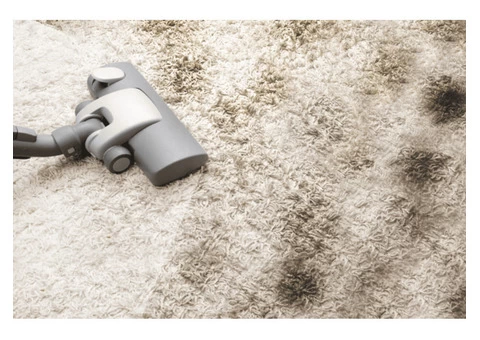 Hot Water Extraction Carpet Cleaner Adelaide