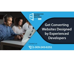 Websites Designed by Experienced Developers