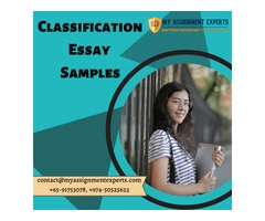 Sample classification essays