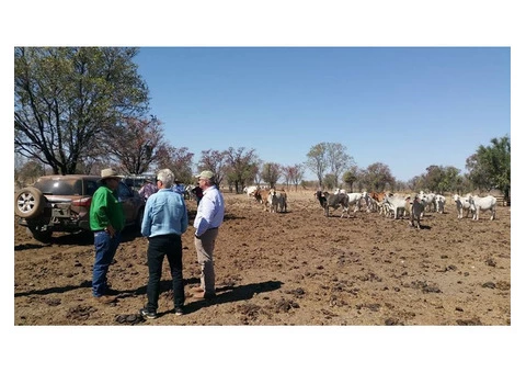 Station Innovation: Simple Remote Water Tank Monitoring System