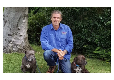 Dog training Brisbane