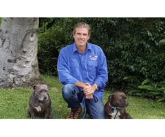 Dog training Brisbane