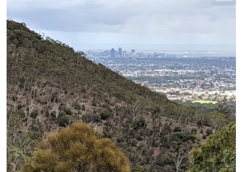 Savle painting and decoration - interior painter in Athelstone