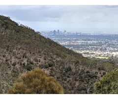 Savle painting and decoration - interior painter in Athelstone