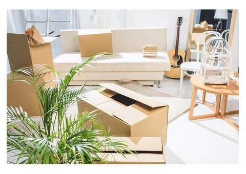 Removalists in Australia on a Budget