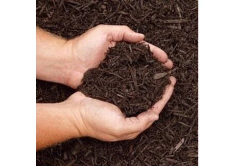 Are You Looking For Garden Design Services In Castlemaine? - 1/3