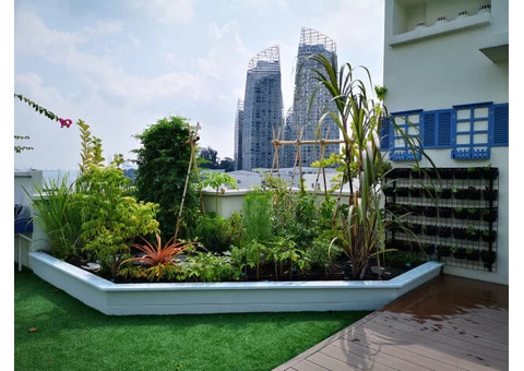Are You Looking For Garden Design Services In Castlemaine? - 2/3