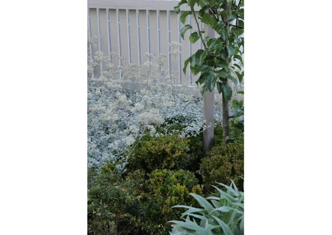 Are You Looking For Garden Design Services In Castlemaine? - 3/3