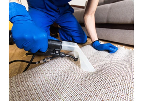 Professional Carpet Restretching in Brisbane -  Carpet Stretching Service - 2/2