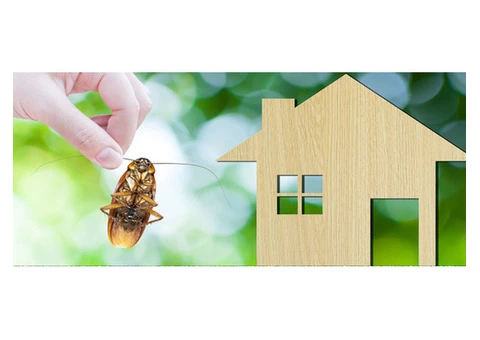 Cockroach Control Adelaide