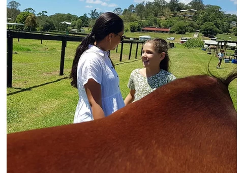 Equine Assisted Learning Near Me