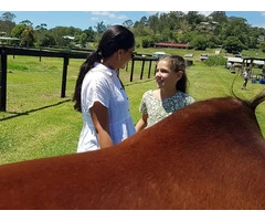 Equine Assisted Learning Near Me