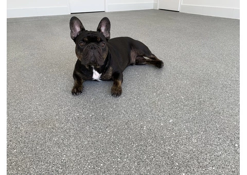 Flake Flooring Gold Coast
