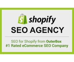 Hire a reputable agency for Shopify SEO services