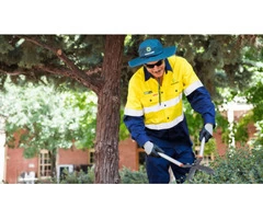 Professional Grounds Maintenance | Programmed