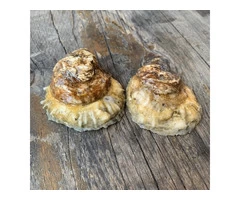 5% Off - Cooly Breeze Rooftop - Coolangatta, QLD