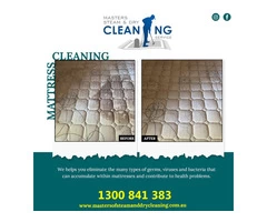 Experts Mattress Cleaning Brighton
