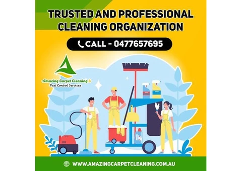 Professional Rug Cleaning Service in Brisbane - 4/5